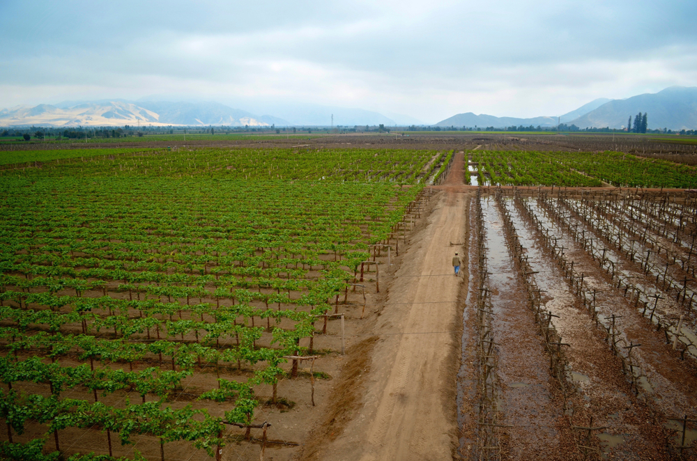 shutterstock 1079832962