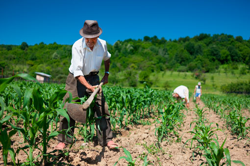 credito_agricola.jpg